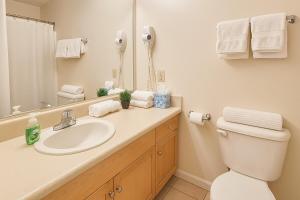 Cozy Loft near Playhouse Sq, Rock Hall, Clinic, CSU