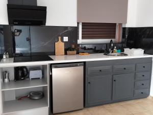Fiorentina apartments