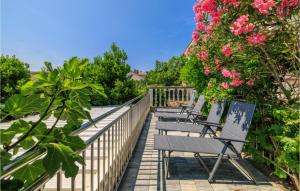 Awesome Apartment In Crikvenica With Wifi 