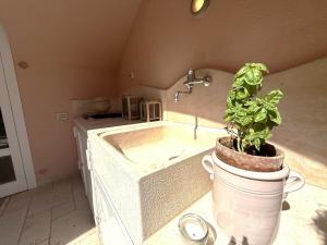 Donna Lucrezia, un giardino segreto per te!