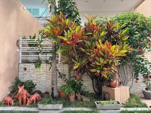 Terraço da Serra Flat - Casa em Serra Negra PE