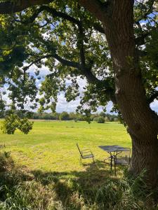 Logeerkamer Water op Buitenplaats de Burgwal