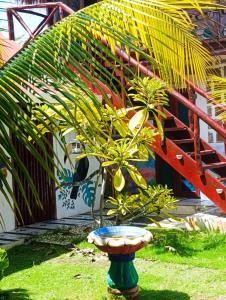 Casa Mountain Las Penitas