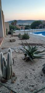 Casa Logos Stintino - Private pool img1