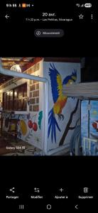 Casa Mountain Las Penitas