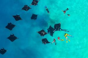 Nest by Hawks Hotels Kamadhoo Baa Atoll