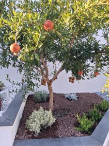 Dimora da Anna tra Amalfi e Sorrento