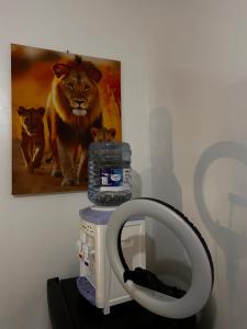 Lemayian Confort Homes