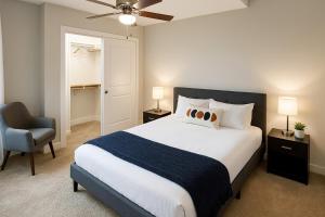 Downtown Sq Stadium, Casino, Rock Hall, Clinic