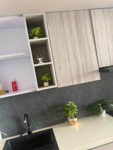 Shaffire serenity studio