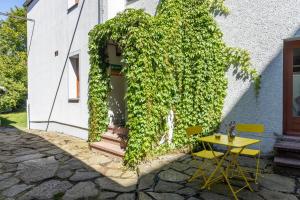 Ruhiges Studio in Altstadt mit Gartenblick & Sofa