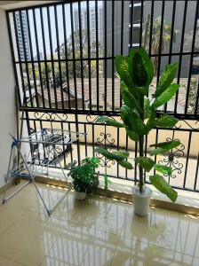 Lively Kimilani Home