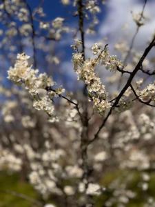 重返自然 return to nature