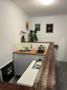 Charmante Wohnung Appartement in Ulm