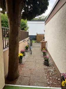 Charmante Wohnung Appartement in Ulm