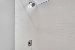 Southern Belle Carriage by Lucky Savannah