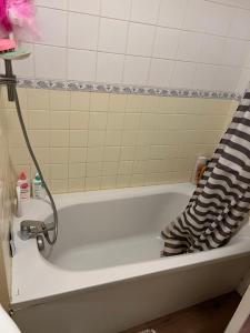 Appartement studio centre