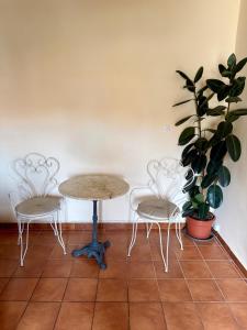 Casa Paloma