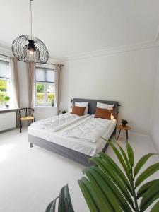 Exclusive Luxury Apartment in the Heart of Aalborg