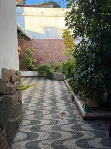 Residencia Estudiantil para Mujeres