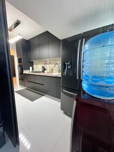 Dominik luxury penthouse