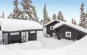 Amazing Home In Trysil With House A Mountain View