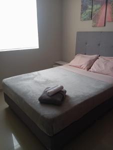 Your Retreat in Roldanillo!