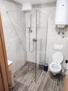 Kopaonik,President kop app 404