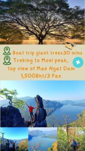 Napahong Treehouse forest camp