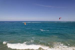 1BR Ocean View Luxury Beachfront in Cabarete