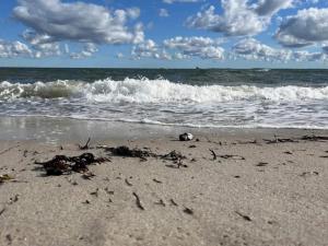 8 person holiday home in Otterup-By Traum