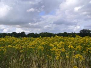 4 star holiday home in Hejls