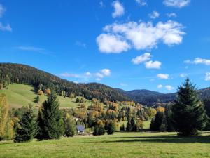 Chata pod Śnieżnikiem