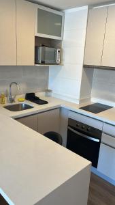 Maravilloso Departamento En Centro De Concepción