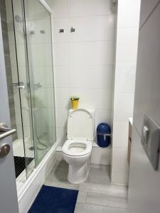 Lindo y acogedor Dpto Ñuñoa