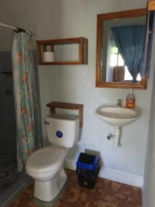 Beach & forest Escape