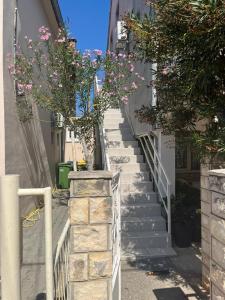 Apartments by the sea Bibinje, Zadar - 24788