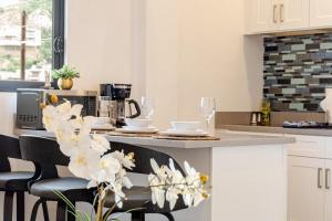 Vista Pedregal-Modern Vacation Apartment Walk to Marina & Beaches