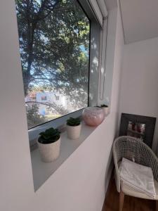 Bondi Ocean Nest
