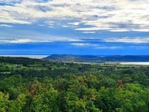 Royal Panoráma Vendégház