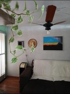 Rodrigues Hostel