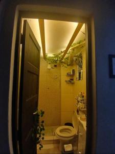 Rodrigues Hostel
