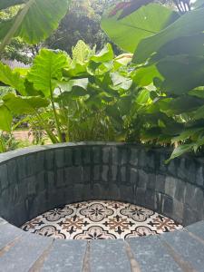 Secret Garden hostel