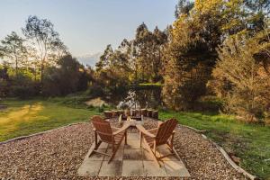 The Whistling Frog by Tiny Away