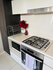 Merrylands 2bedrooms Apt with free car parking