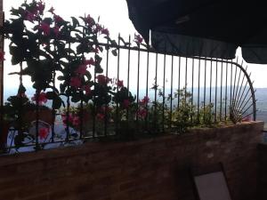 Il Conventino Appartamento