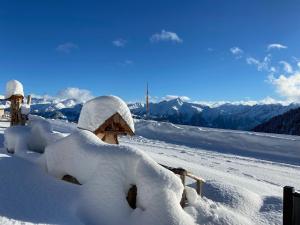 Alpine pasture in the Zillertal mountains