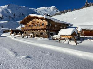 Alpine pasture in the Zillertal mountains