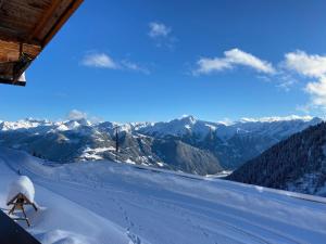 Alpine pasture in the Zillertal mountains