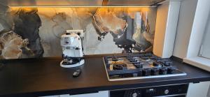 Lux Room Drumul Taberei